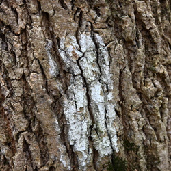 2013-11 Sky Meadows Hike