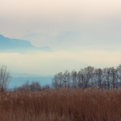 2015-01 Lac-du-Bourget