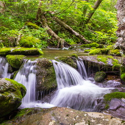 2015-06 Yag Hike - Rapidan Camp